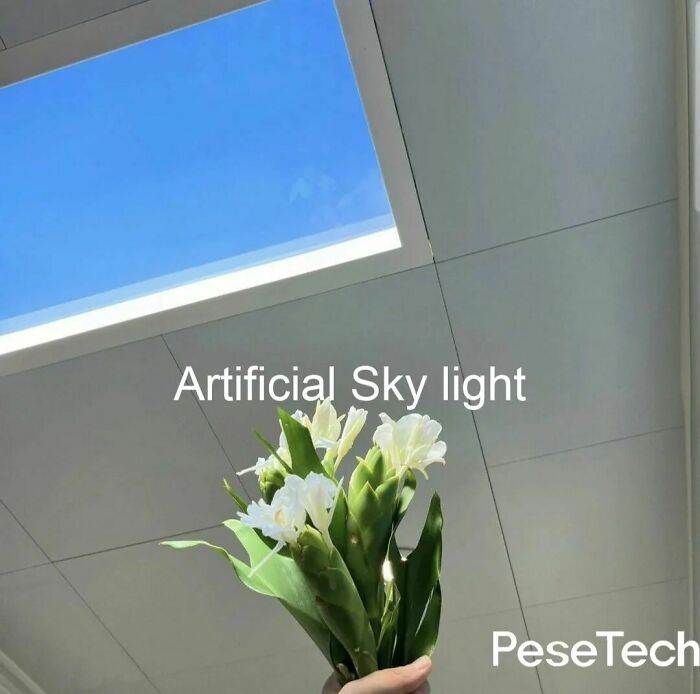 Dystopia Has Entered The Chat. #humansoflatecapitalism