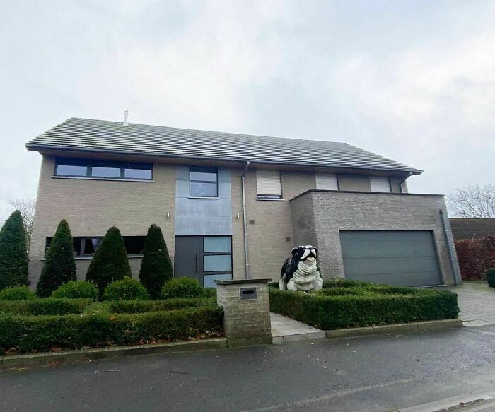 You Ain’t Nothing But An Ugly House Dog