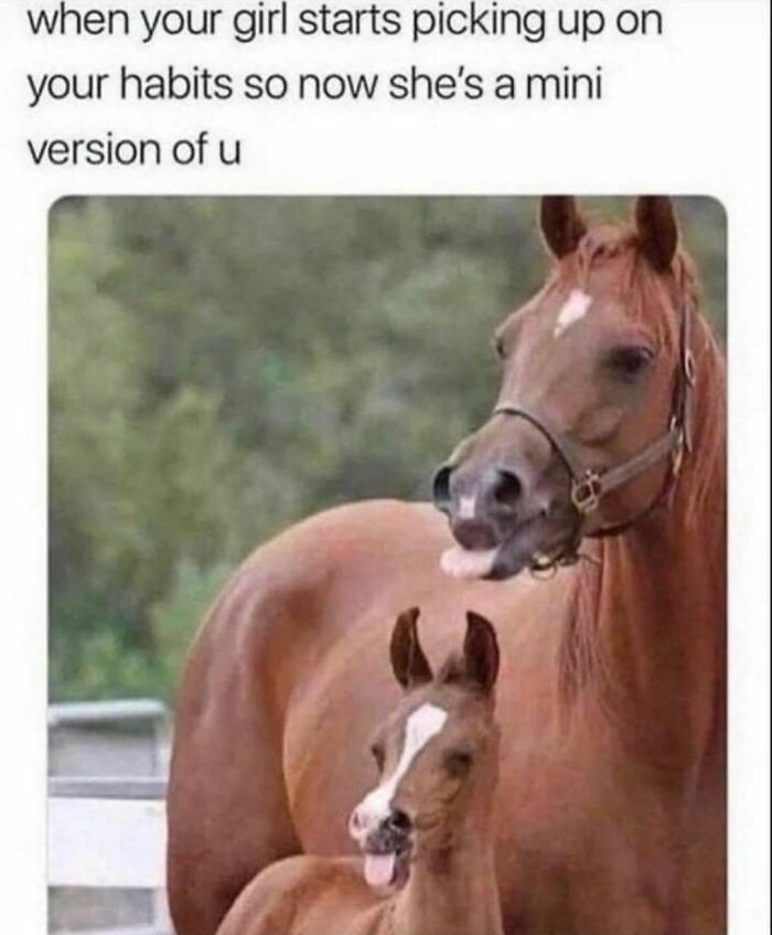 Two horses mimicking each other, with the caption "when your girl starts picking up on your habits." Spicy memes.