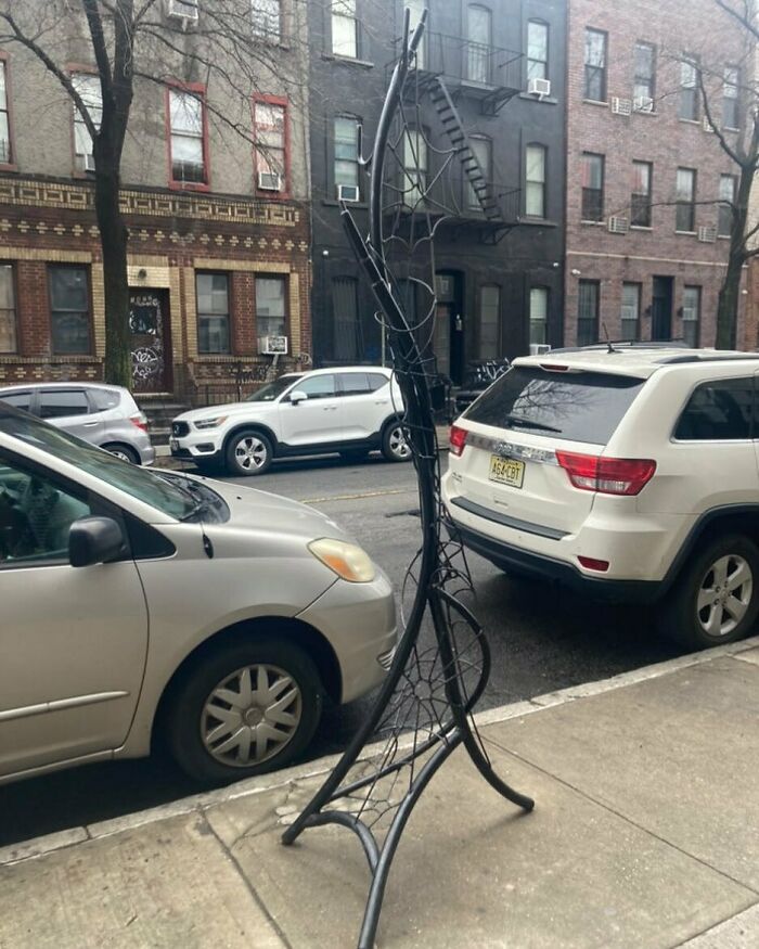 Coat Rack, Designed By A Spider. 1429 Dekalb 