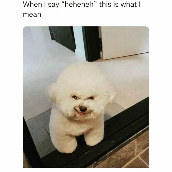 Hilarious-Sarcasm-Only-Memes