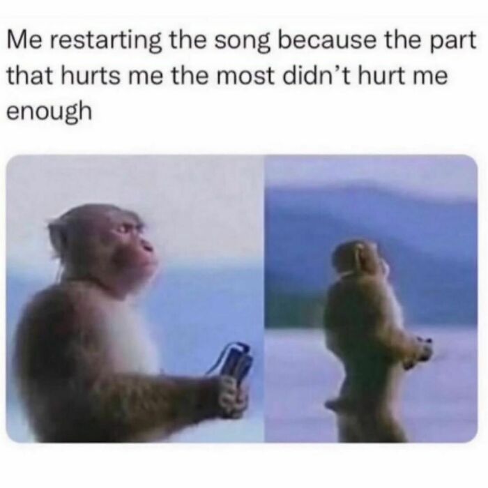 Hilarious-Sarcasm-Only-Memes