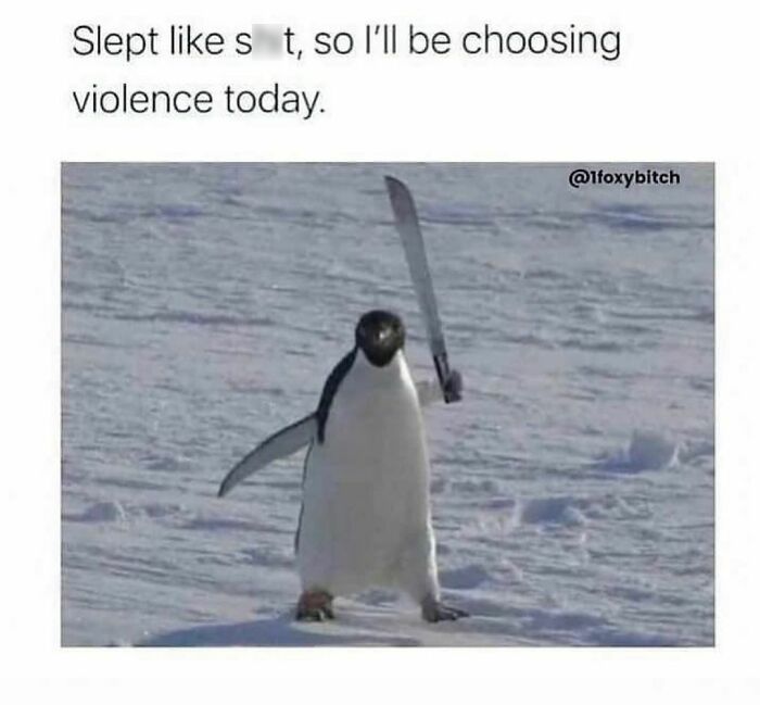 Penguin holding a knife on snowy ground with text "Slept like s--t, so I’ll be choosing violence today." Spicy Memes.