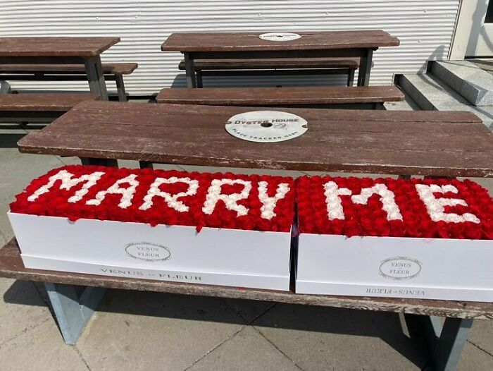 Well…this Is A First. Stoop Romance! We Have Been Assured This Is Free And We’re Not Ruining A Proposal…but Yuno, Maybe Just Triple Check…22 Battery Pl