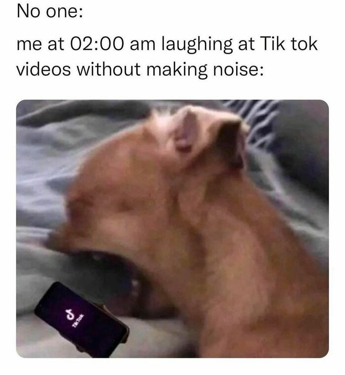 Funny-Spiciest-Memes