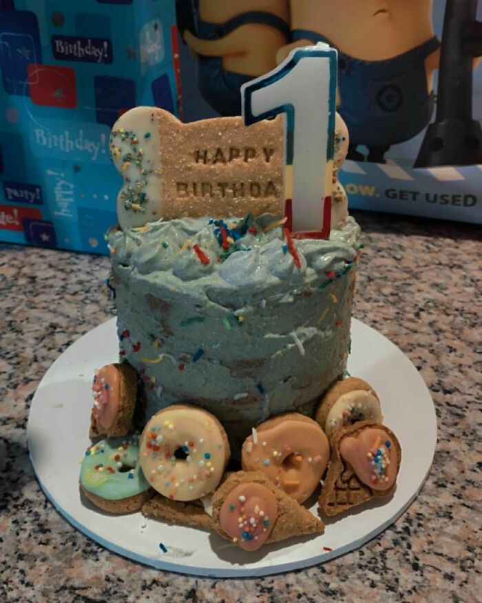 Cute 1 year birthday cake for dog