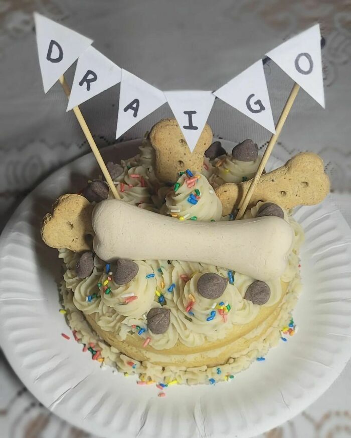 Dog birthday cake