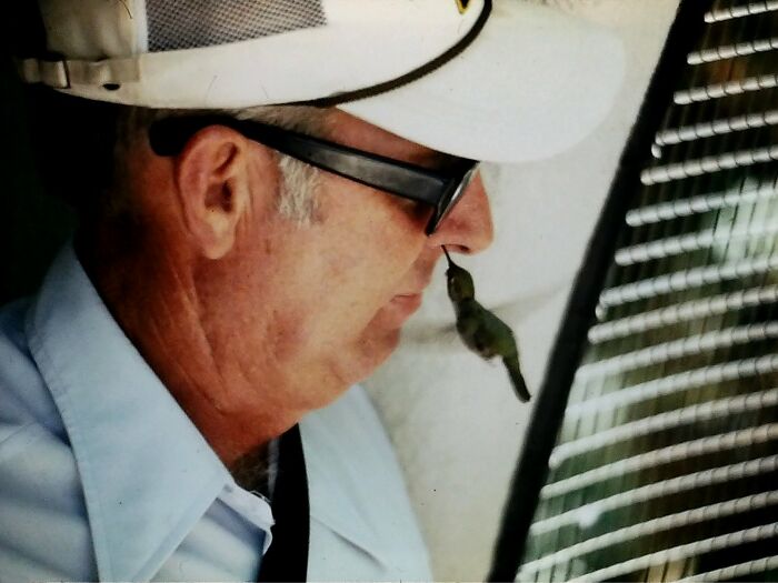 My Dad At The Hummingbird House, San Diego Zoo, 1974