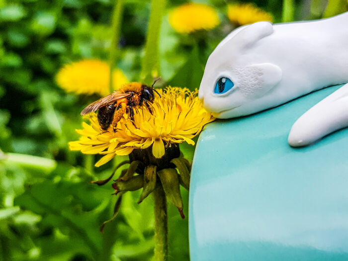 I Create Cute Dragons From Polymer Clay