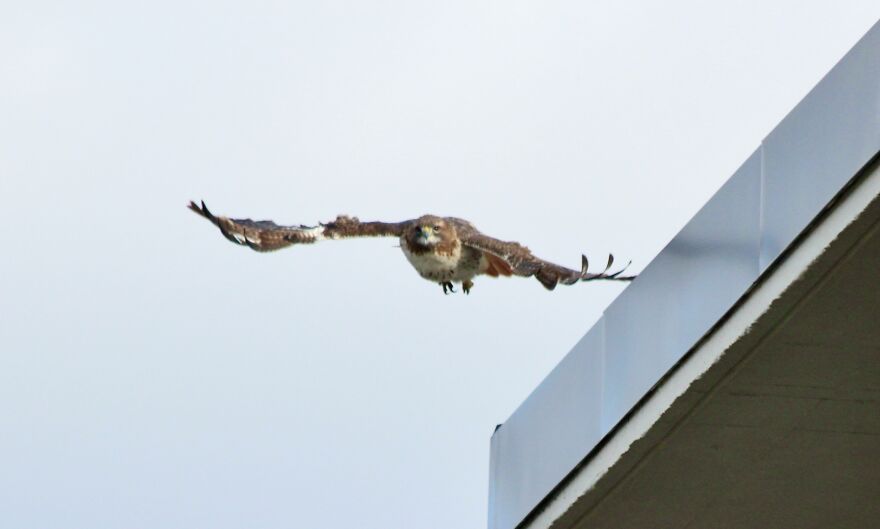 Pictures Are Taken From My Balcony