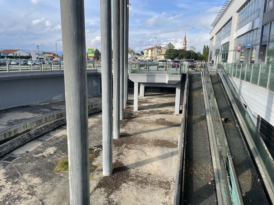 &ldquo;Comfortable Dystopia&rdquo;: 6 Photos Of An Abandoned Retail Center