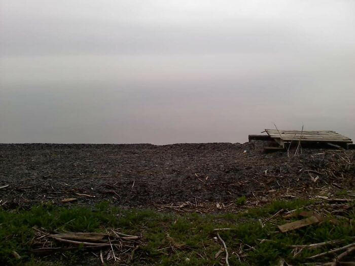 A Foggy Morning On A Lake Shore, Where Water Meets Sky