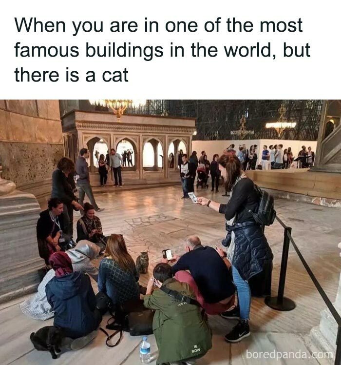 People gather to photograph a cat inside a famous building, highlighting a funny animal meme moment.