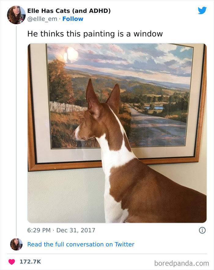 Dog humorously looking at a painting of a landscape, mistaking it for a window. Funny animal meme with painting.