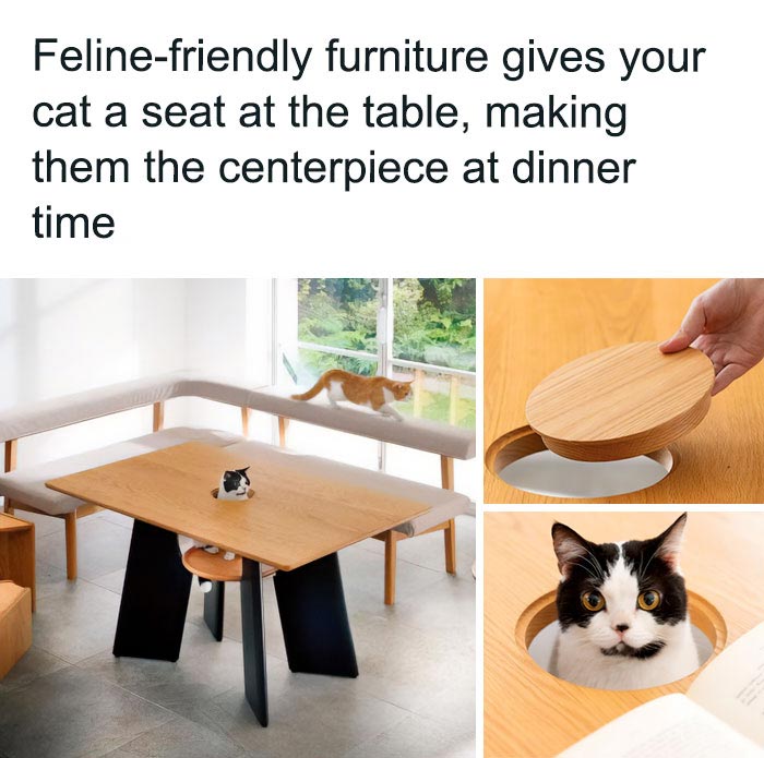 Funny animal meme showing a cat sitting in a table hole with a removable lid, acting as the centerpiece at dinner.