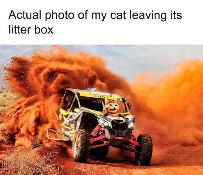 Funny animal meme featuring a cat driving a racing vehicle through a cloud of red dust.
