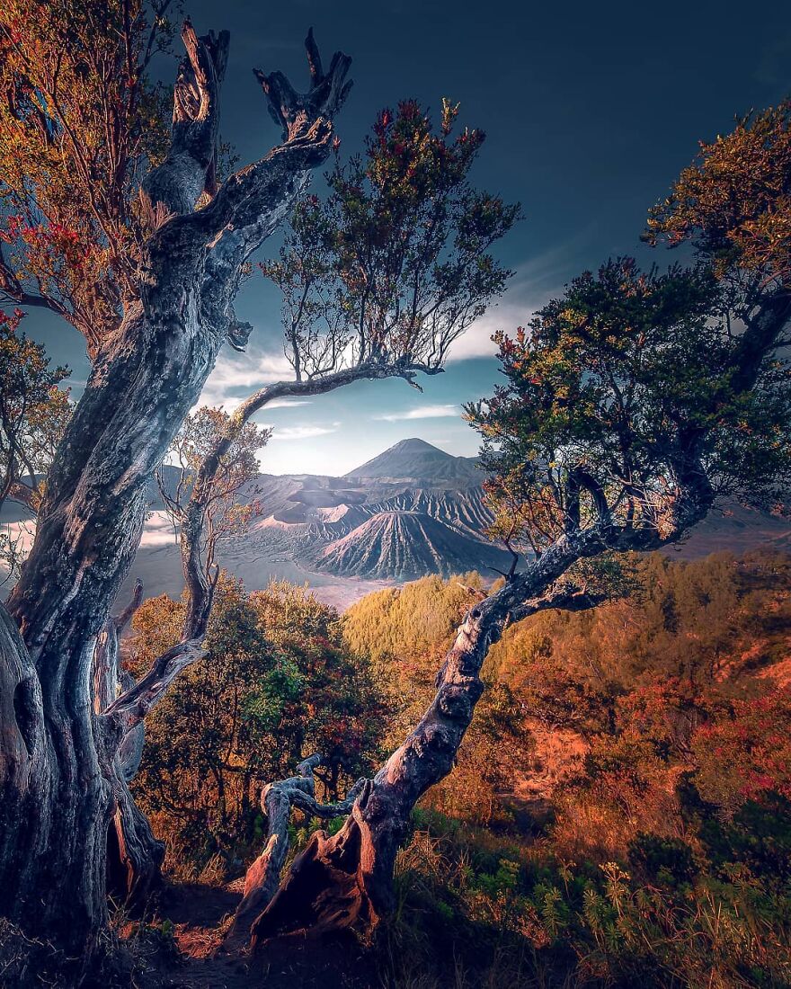 Gatekeeper To The Stars