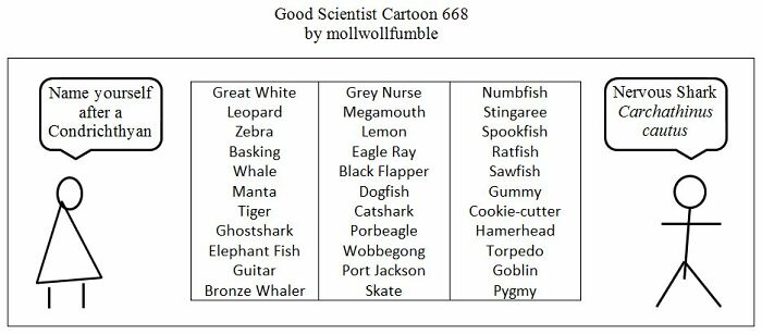 Good Scientist Cartoon: Exploring The Boundaries Between Genius And Stupidity (40 Pics)