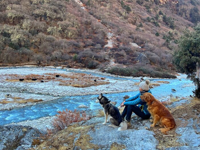 Hiking With My Two Dogs Is My Biggest Passion, Here Are Some Highlights Of Our Tsho Rolpa Glacial Lake Adventure
