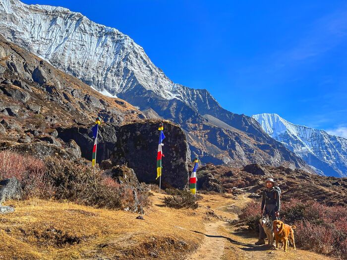 Hiking With My Two Dogs Is My Biggest Passion, Here Are Some Highlights Of Our Tsho Rolpa Glacial Lake Adventure
