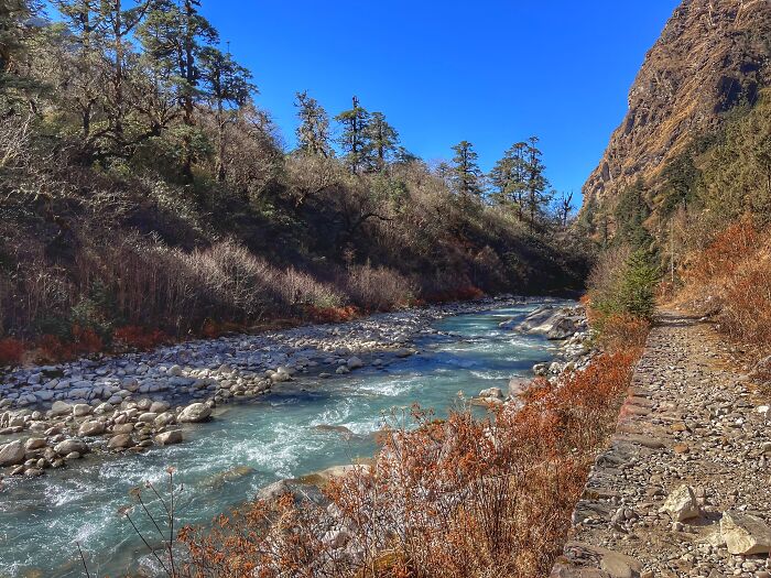 Hiking With My Two Dogs Is My Biggest Passion, Here Are Some Highlights Of Our Tsho Rolpa Glacial Lake Adventure