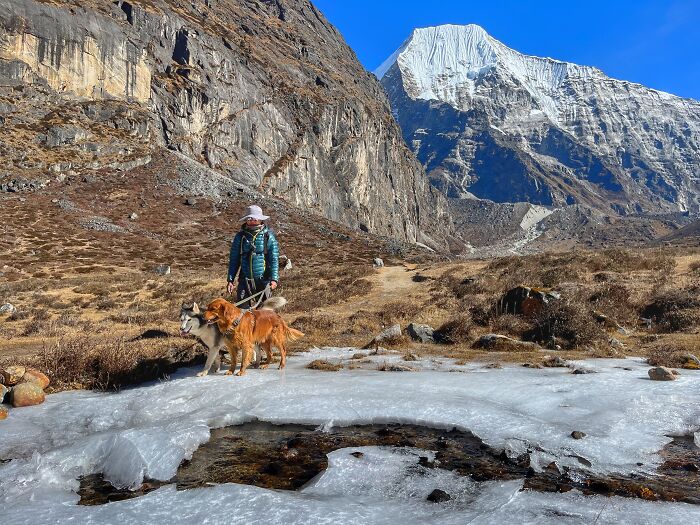 Hiking With My Two Dogs Is My Biggest Passion, Here Are Some Highlights Of Our Tsho Rolpa Glacial Lake Adventure