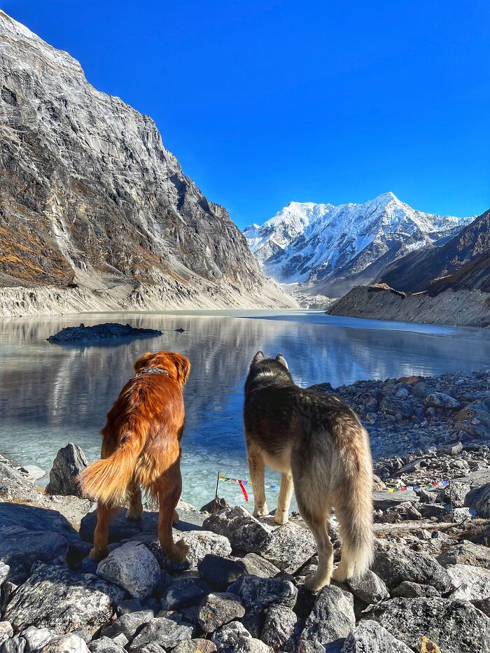 Hiking With My Two Dogs Is My Biggest Passion, Here Are Some Highlights Of Our Tsho Rolpa Glacial Lake Adventure