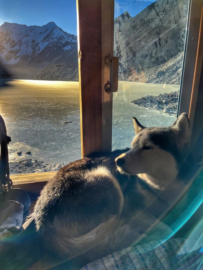 Hiking With My Two Dogs Is My Biggest Passion, Here Are Some Highlights Of Our Tsho Rolpa Glacial Lake Adventure