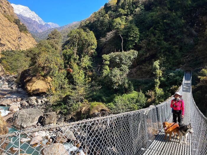 Hiking With My Two Dogs Is My Biggest Passion, Here Are Some Highlights Of Our Tsho Rolpa Glacial Lake Adventure