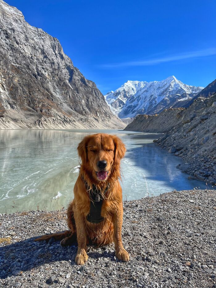 Hiking With My Two Dogs Is My Biggest Passion, Here Are Some Highlights Of Our Tsho Rolpa Glacial Lake Adventure