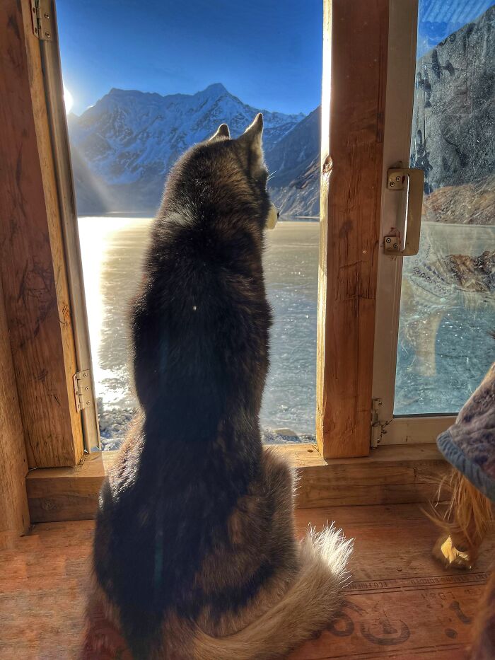 Hiking With My Two Dogs Is My Biggest Passion, Here Are Some Highlights Of Our Tsho Rolpa Glacial Lake Adventure