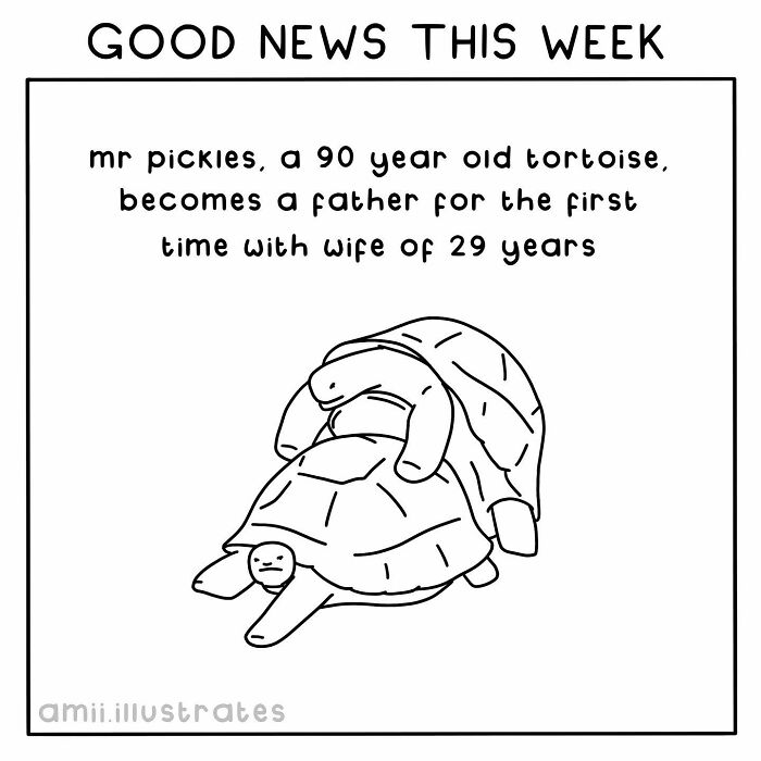 Cartoon of two tortoises with text about a 90-year-old becoming a father, highlighting good news of the week.