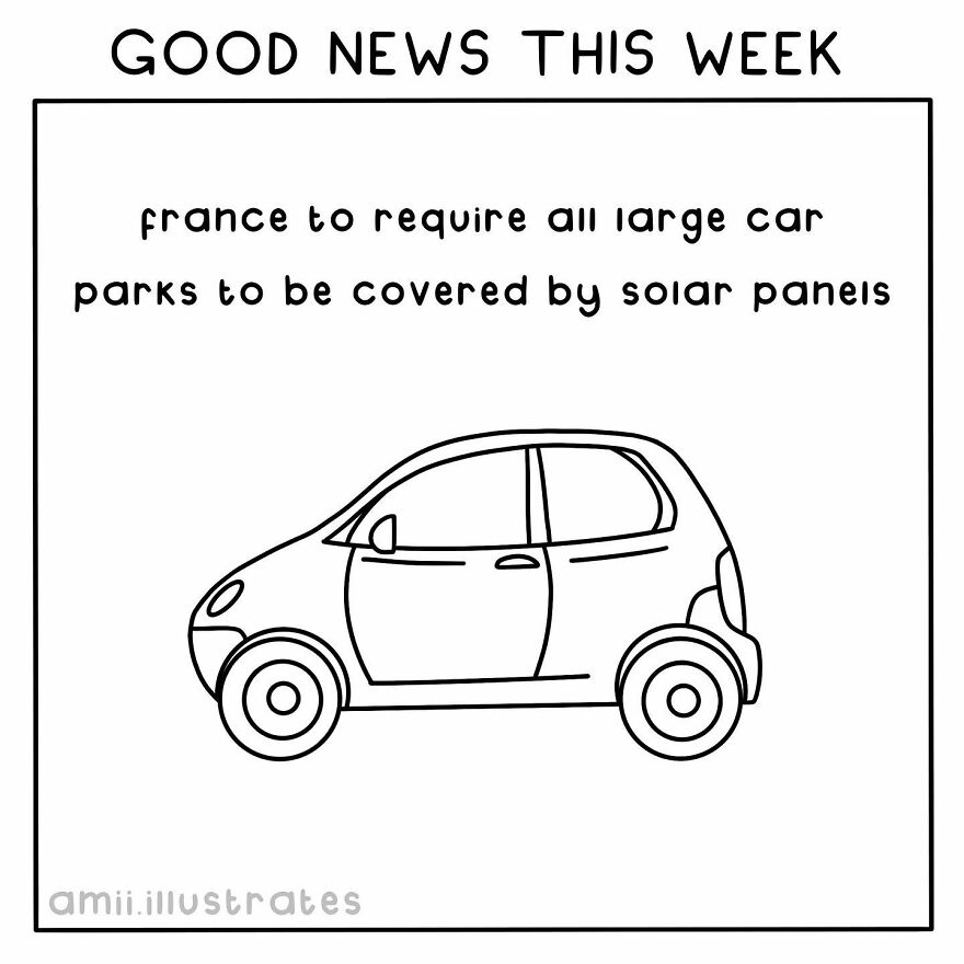 I Illustrated 8 Positive News Stories To Give You Hope For Our Planet