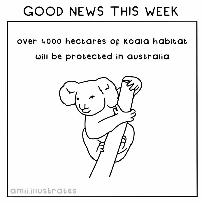 Illustration of a koala on a tree, highlighting recent good news about koala habitat protection in Australia.