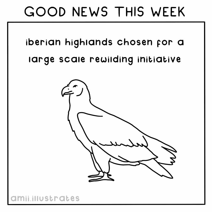 I Illustrated 8 Positive News Stories To Give You Hope For Our Planet