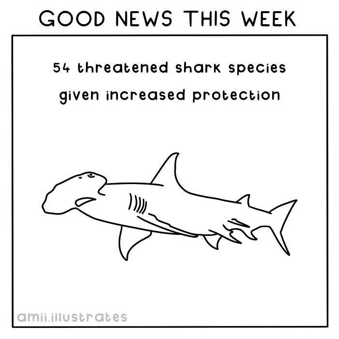Illustration of a hammerhead shark with text about 54 threatened shark species gaining protection, under "Good News This Week."
