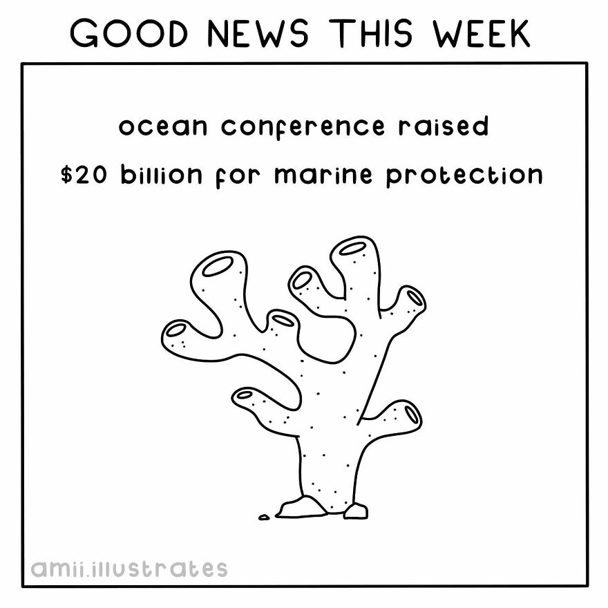 I Illustrated 8 Positive News Stories To Give You Hope For Our Planet