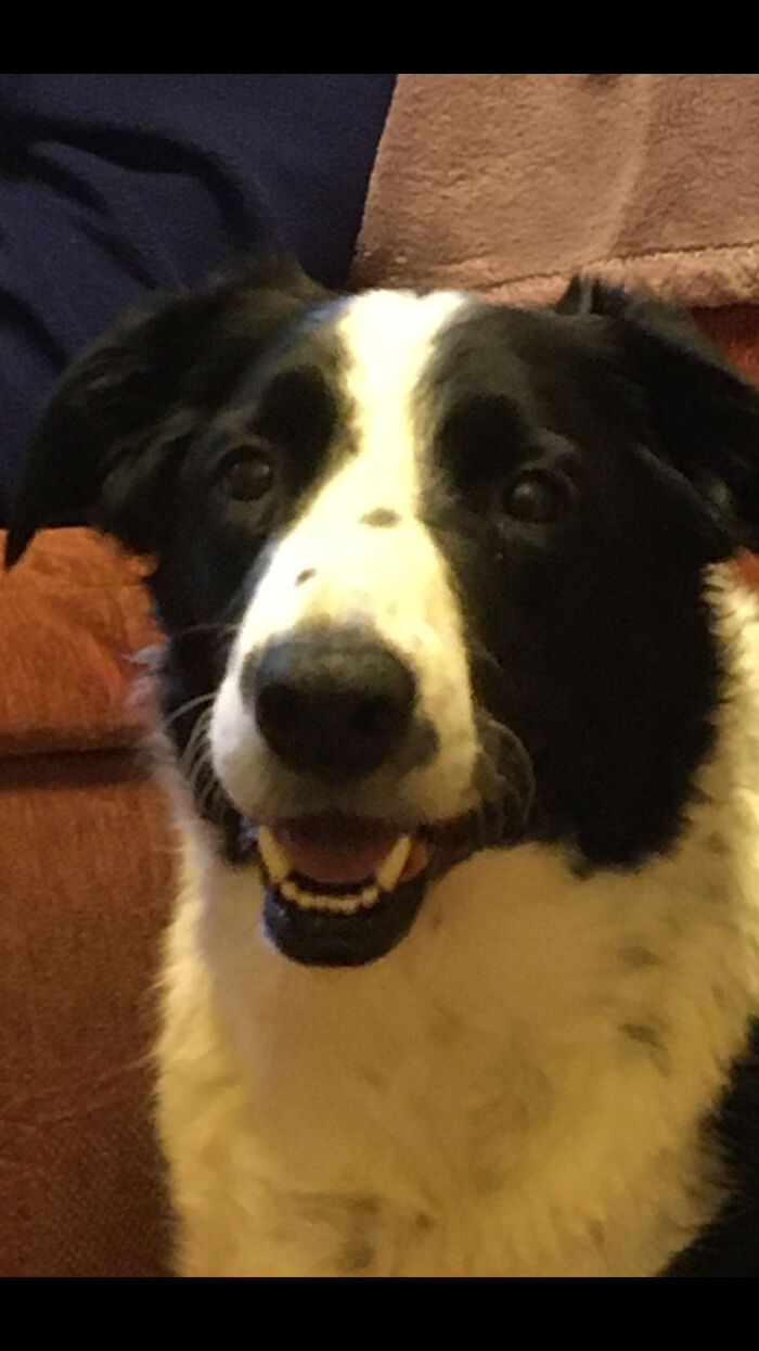 Anywhere With My Beautiful Boy, Shilo