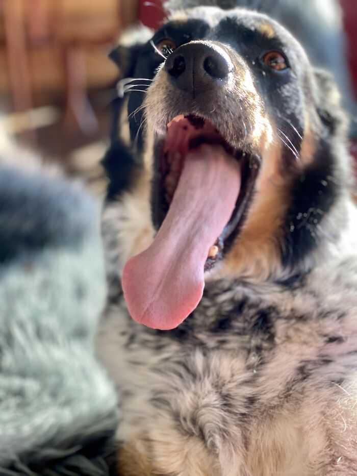 Max Living Up To His Name :)