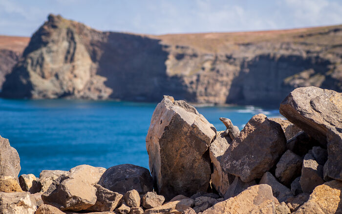 From My Recent Trip To Gran Canaria - Can You See The Little Photo Bomber?