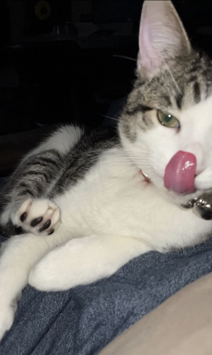 My Baby Girl 🐈‍⬛