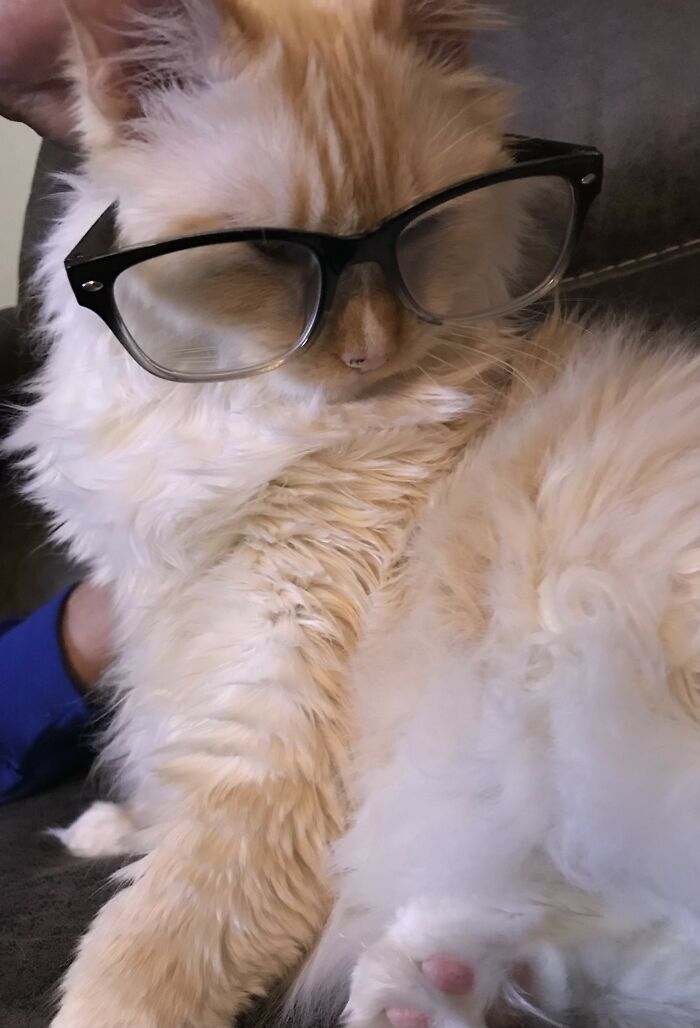 Why Is There An Add Image