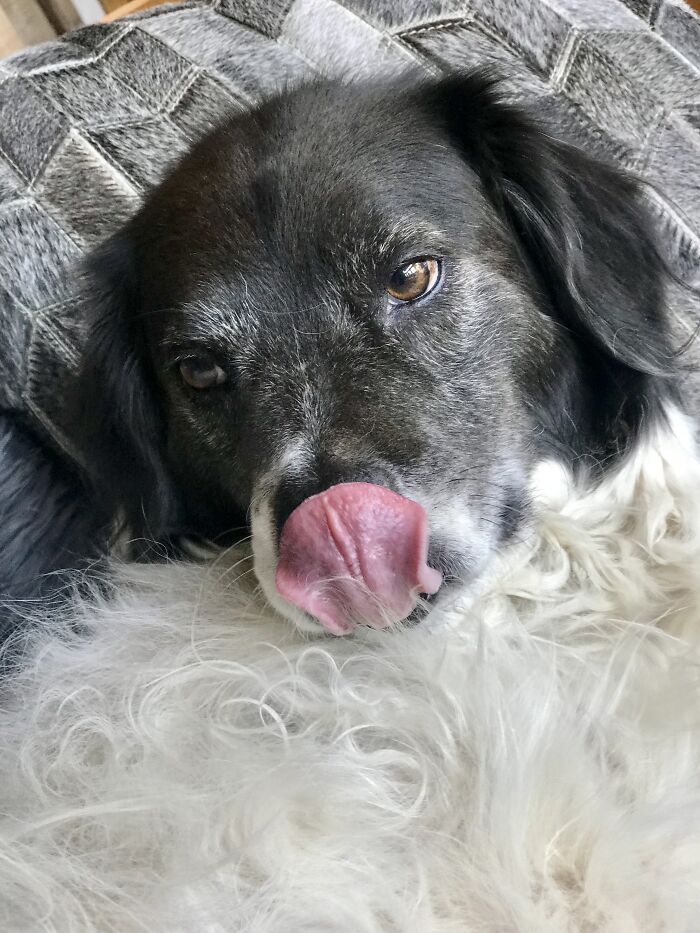 Spartacus Werking It