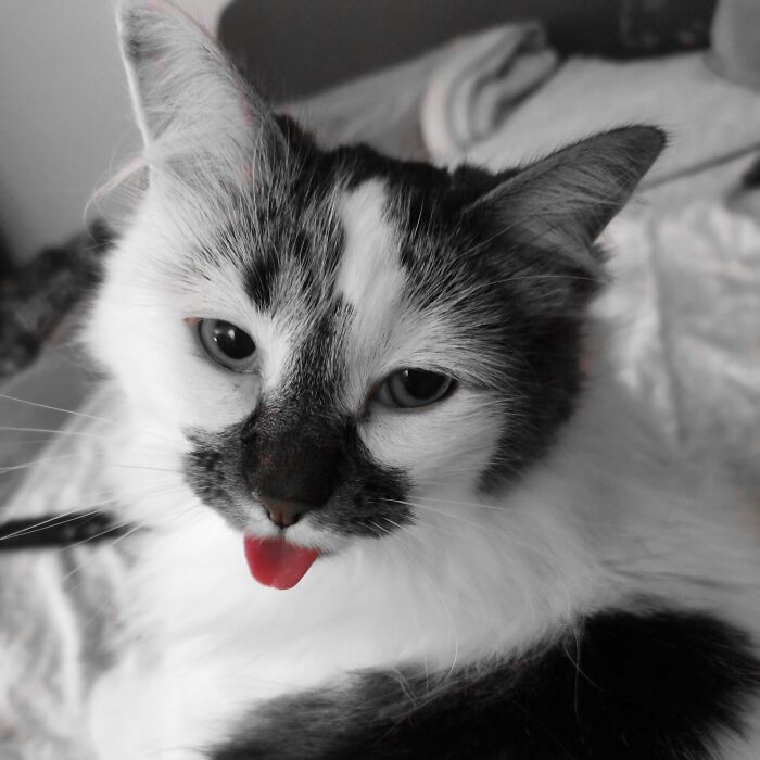 Black And White And Red