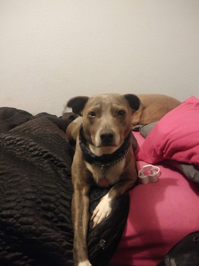 And Wherever I Go, He's Sure To Follow❣️