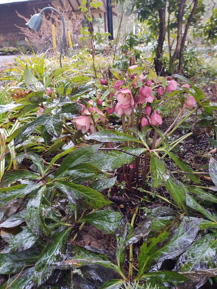 It's Finally Starting To Be Spring