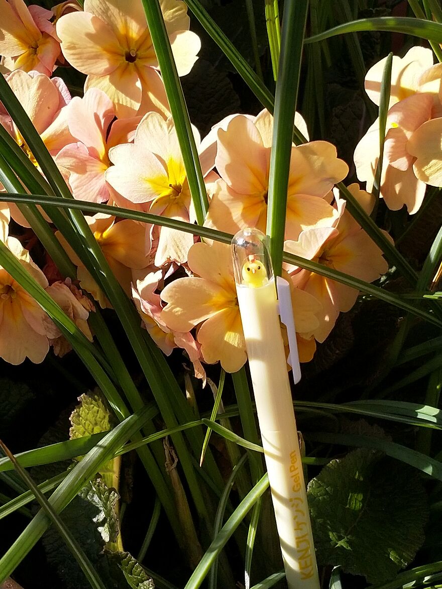 Hey Pandas, I Got Some New Pens From Kenji And Here's A Photoshoot (8 Pics)