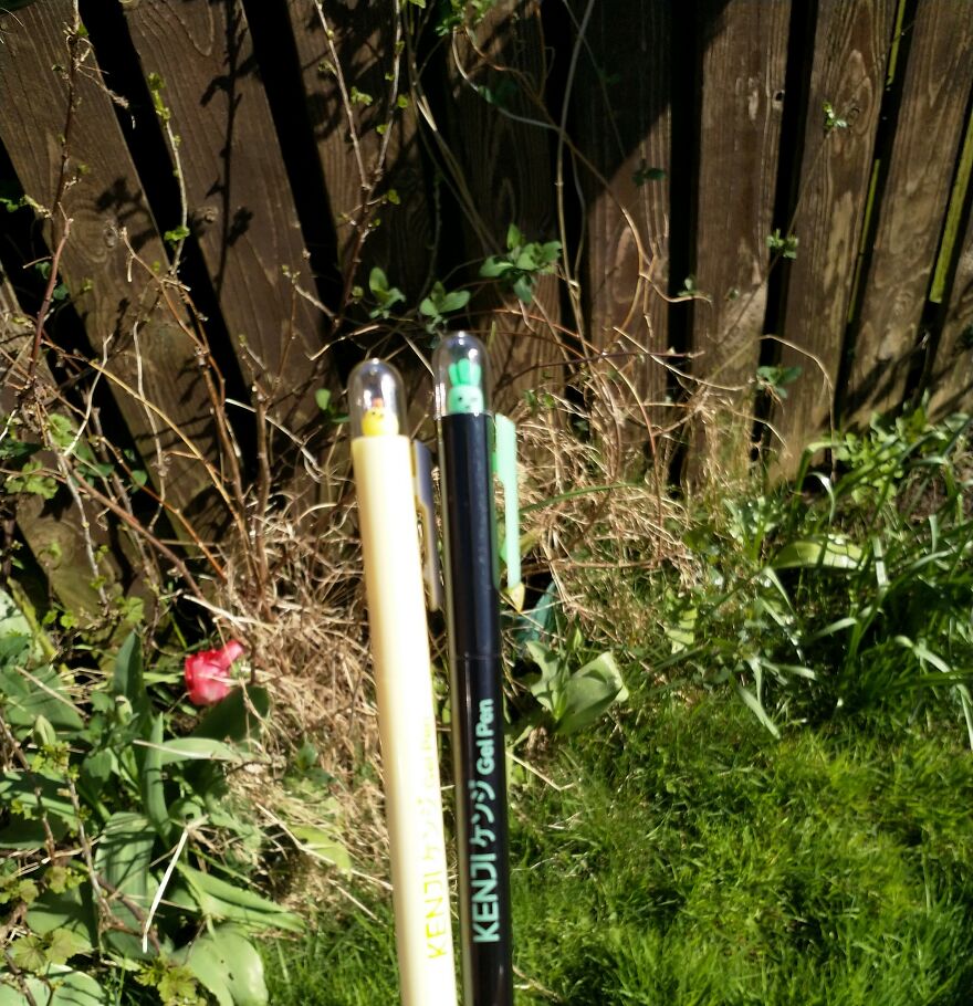 Hey Pandas, I Got Some New Pens From Kenji And Here's A Photoshoot (8 Pics)