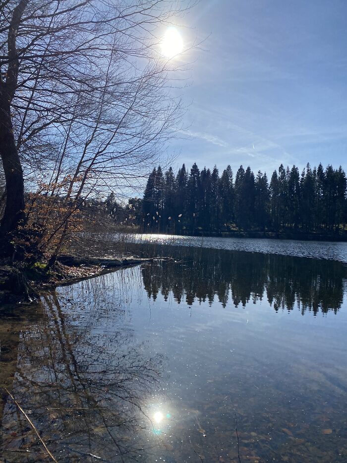 Around The Corner - At A Small Lake In The Forest Of Brandenburg / Berlin