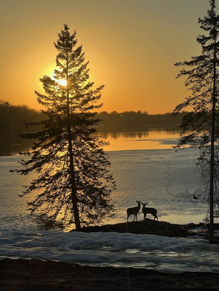 View Outside My House This Week